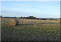 Stubble field near Bucksburn in AB21 9XS