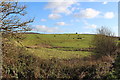 Farmland near Edingham in DG5 4NG
