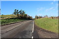 Road to Dalbeattie near Edingham Moss in DG5 4HX