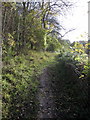 Path towards Sundon Hills Country Park in LU3 3PE