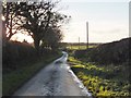 Bryning Hall Lane in late afternoon in PR4 3PP