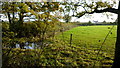Wet patch in a field corner, Leys Hill in HR9 5RH