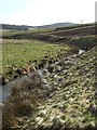 Looking upstream from bridge over Leochel Burn in AB31 4RU