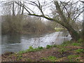 The River Nadder at Bemerton in SP2 9AR