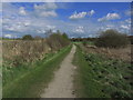 Footpath, Sankey Valley Park, Newton Common in WA12 9JL