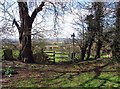 View from All Saints, Nazeing churchyard, Essex in Roydon Hamlet