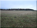 Farmland near the Glenesk Maltings in DD10 9FY