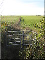 Footpath to Westoning in MK45 5HD