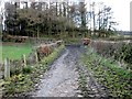 Overton Forest Track End in G83 8QY