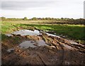 Waterlogged field, near Ham in TA21 9JQ