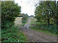 Farm track to Bighton Road in GU34 5PX