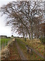 Track above Knockbain Farm, Dingwall in IV15 9TG