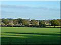 View towards Blackmoor church in GU34 3LR