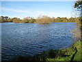 Watford: Hampermill Lake in WD18 6XL