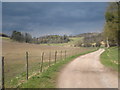 Track leading to Great Wood in RG9 3AS