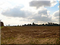 Ploughed field, distant treeline and big sky in IP12 3RY