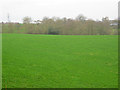 Meadow south of Loscoe in DE5 8PN