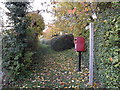 Footpath & Low Street Postbox in IP13 7AN