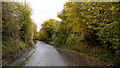 Ashwicke Road in autumn in SN14 8AE