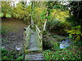 Footbridge over Lid Brook in SN14 8DR