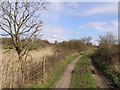 Footpath on the edge of Dibden Bay in SO40 4WW