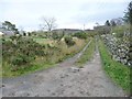 Public bridleway to Buarth Farm in LL54 7AG
