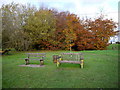 Benches on Box Hill Common in SN13 0NT