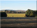 Stubble in KY13 0NL