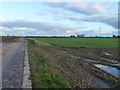 Wind farm and Tydd St Mary's Common in PE12 9AL