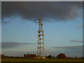 Newton telecommunications mast near Wisbech in Leverington & Wisbech Rural Ward