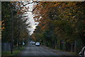 Cold late November in Humberston Avenue in DN36 4BN