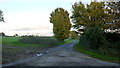 Farm road to Norbin Barton Farm in SN13 8DJ