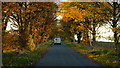 White van, golden leaves in SN13 8BL