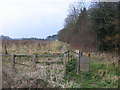 Naburn Wood Looking Towards Birkhill Farm in YO19 6LR