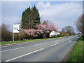 Road Junction of B5082 to Northwich on the A50 in CW4 8HH