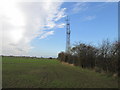 Mast and hedgeline on Birchwood Hill in S66 8AG
