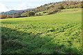 Farmland in Grwyne Fawr valley in NP8 1ST