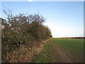 Footpath at East Field in S25 1ZE