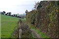 Footpath towards Tiplengreen Farm in PO8 0RZ