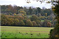 View down field towards Lovedean Lane, with Catherington Down beyond in PO8 0QW