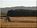 Arable land west of Kinross in KY13 0AD
