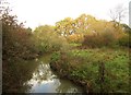 River Frome near Huckford Viaduct in BS36 1LU