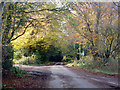 An autumn crossroads in GU32 1DS
