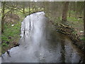 River Lee near Woolmer's Park in SG13 8LG