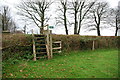 Footpath and Stile in PL19 0FL