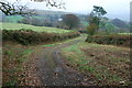Track from South Brentor down to Wortha Bridge in PL19 0LN
