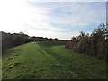 Sharp bend in the levee south of Almholme Ings in DN2 4QP