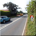 Mirror in a hedge alongside the A358 in TA4 3LR