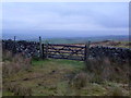 Gate in dry stone wall in BB9 6LE