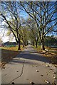 Avenue in New Beckton Park in E6 6WP